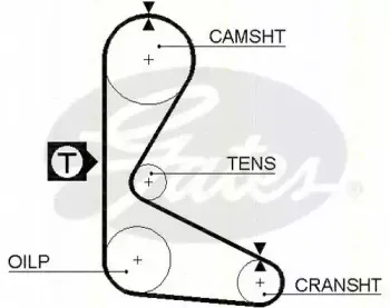 Ремень ГРМ TRISCAN купить