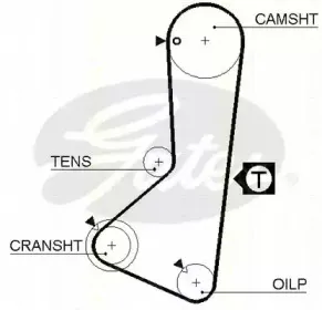 Ремень ГРМ TRISCAN купить