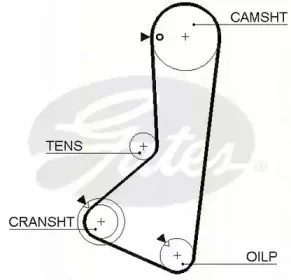 Ремень ГРМ TRISCAN купить