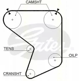 Ремень ГРМ TRISCAN купить