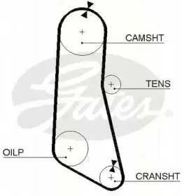 Ремень ГРМ TRISCAN купить