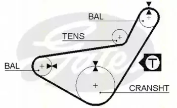 Ремень ГРМ TRISCAN купить