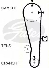 Ремень ГРМ TRISCAN купить
