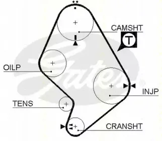 Ремень ГРМ TRISCAN купить
