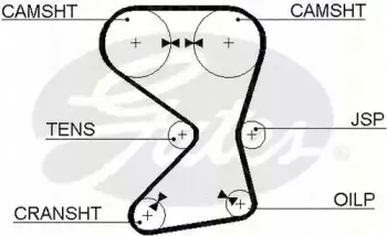 Ремень ГРМ TRISCAN купить