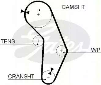 Ремень ГРМ TRISCAN купить