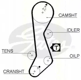 Ремень ГРМ TRISCAN купить
