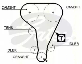 Ремень ГРМ TRISCAN купить
