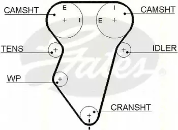 Ремень ГРМ TRISCAN купить