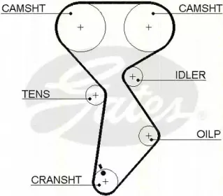 Ремень ГРМ TRISCAN купить
