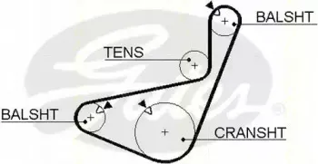 Ремень ГРМ TRISCAN купить