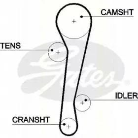 Ремень ГРМ TRISCAN купить