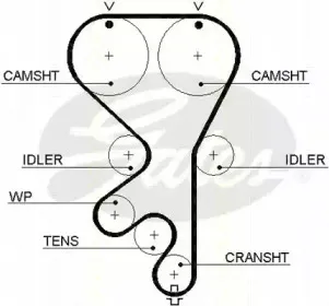 Ремень ГРМ TRISCAN купить