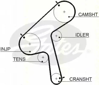 Ремень ГРМ TRISCAN купить