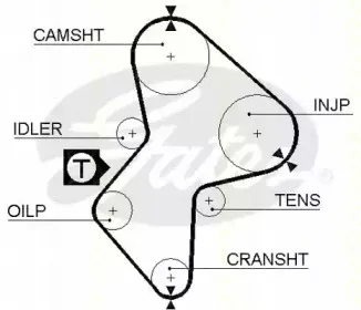 Ремень ГРМ TRISCAN купить
