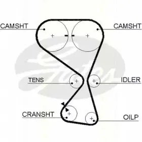 Ремень ГРМ TRISCAN купить