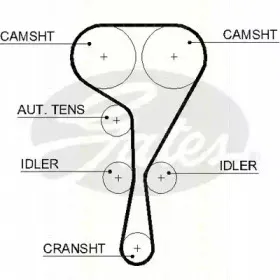 Ремень ГРМ TRISCAN купить