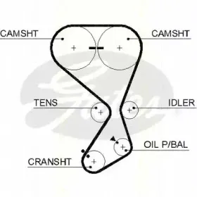 Ремень ГРМ TRISCAN купить