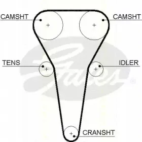 Ремень ГРМ TRISCAN купить