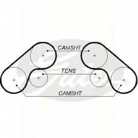 Ремень ГРМ TRISCAN купить