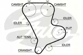 Ремень ГРМ TRISCAN купить