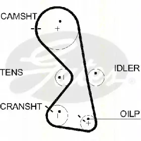 Ремень ГРМ TRISCAN купить