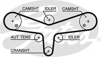 Ремень ГРМ TRISCAN купить
