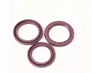 Уплотняющее кольцо, распределительный вал TRISCAN купить