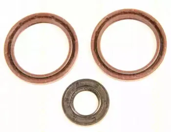 Уплотняющее кольцо, распределительный вал TRISCAN купить