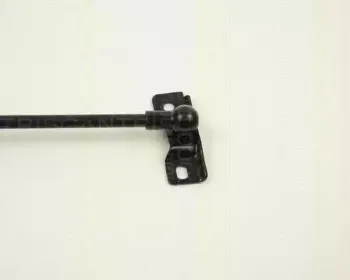 Газовая пружина, крышка багажник TRISCAN купить