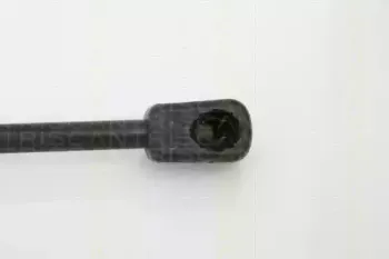 Газовая пружина, крышка багажник TRISCAN купить