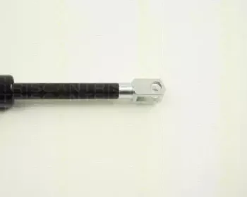 Газовая пружина, крышка багажник TRISCAN купить