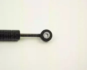 Амортизатор, поликлиновой ремень TRISCAN купить