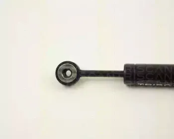 Амортизатор, поликлиновой ремень TRISCAN купить