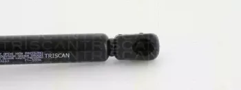 Газовая пружина, крышка багажник TRISCAN купить