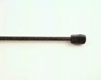 Газовая пружина, крышка багажник TRISCAN купить