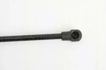 Газовая пружина, крышка багажник TRISCAN купить