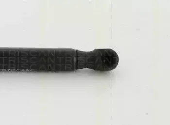 Газовая пружина, крышка багажник TRISCAN купить