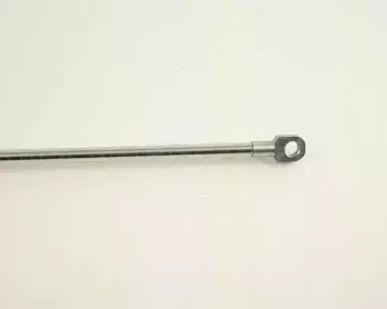 Газовая пружина, крышка багажник TRISCAN купить