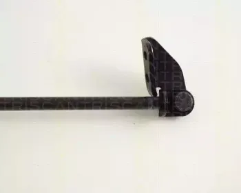 Газовая пружина, крышка багажник TRISCAN купить