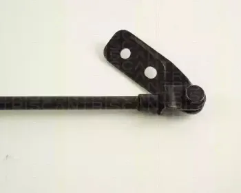 Газовая пружина, крышка багажник TRISCAN купить