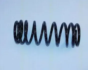 Пружина ходовой части TRISCAN купить