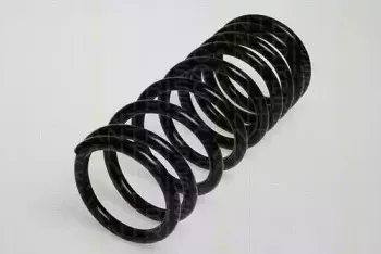 Пружина ходовой части TRISCAN купить