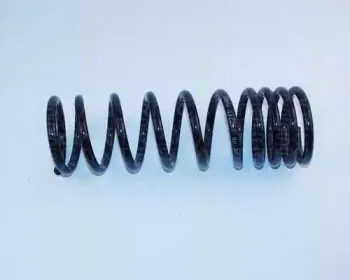 Пружина ходовой части TRISCAN купить