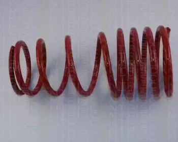 Комплект ходовой части, пружины TRISCAN купить