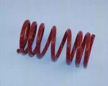 Комплект ходовой части, пружины TRISCAN купить