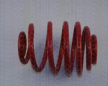 Комплект ходовой части, пружины TRISCAN купить