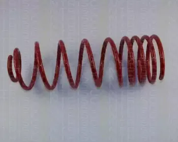 Комплект ходовой части, пружины TRISCAN купить