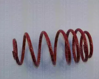 Комплект ходовой части, пружины TRISCAN купить