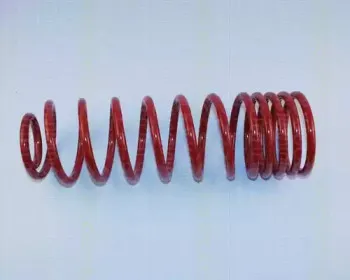 Комплект ходовой части, пружины TRISCAN купить